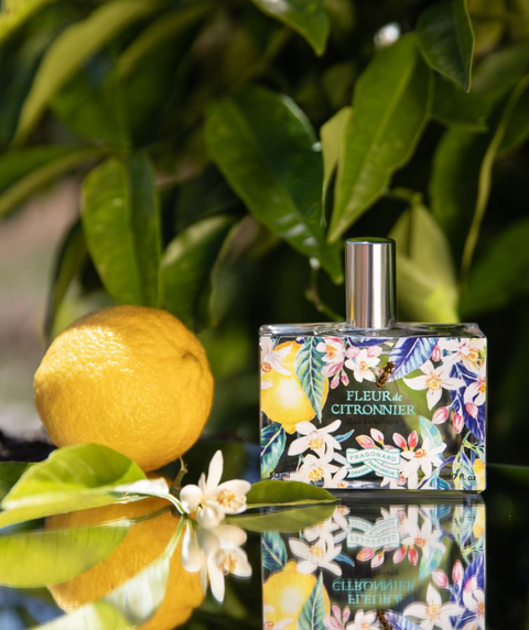 Fragonard Fleur de Citronnier EdT
