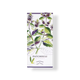 Fragonard Patchouli EdT