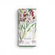 Fragonard Vétiver EdT