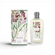 Fragonard Vétiver EdT